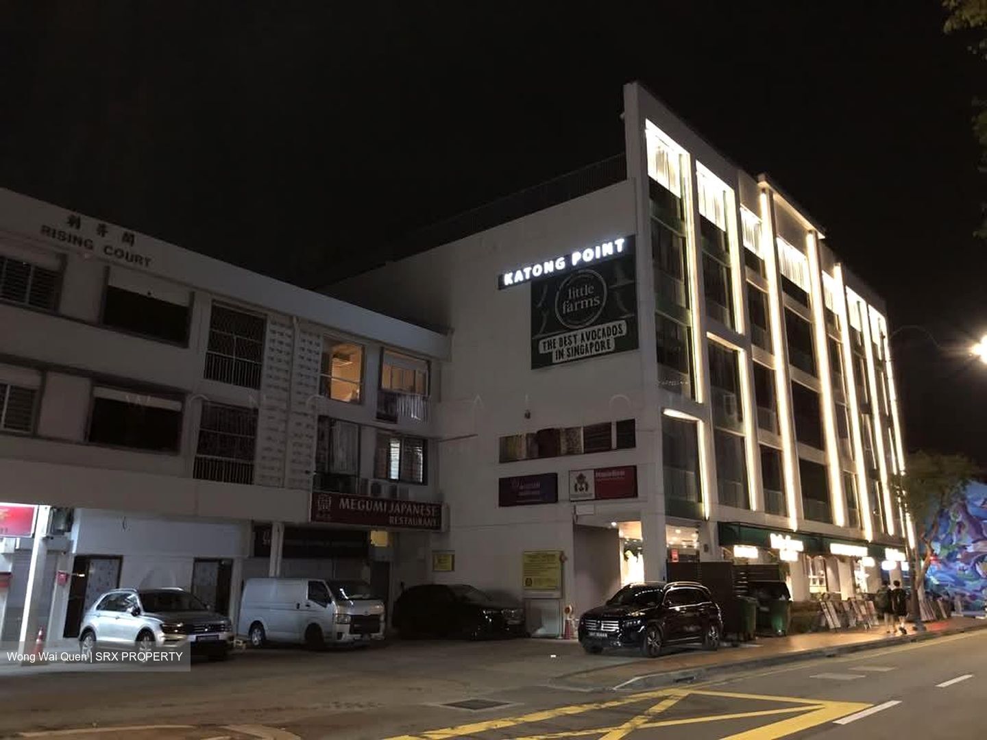 Joo Chiat Road (D15), Shop House #597518531